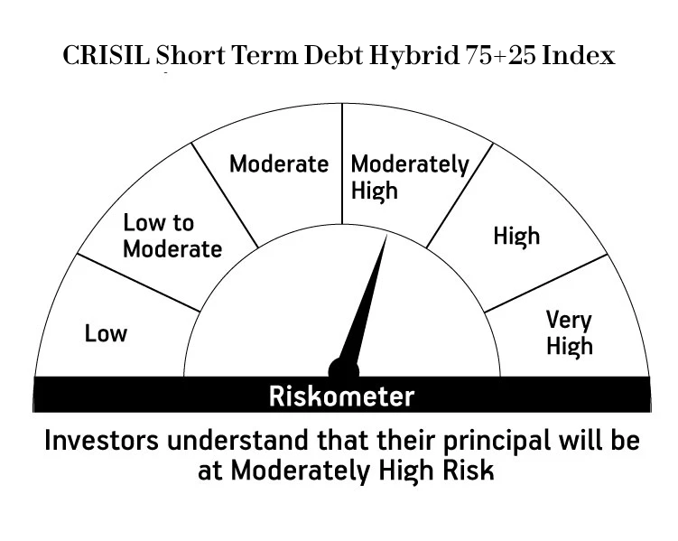 Risk meter image 2