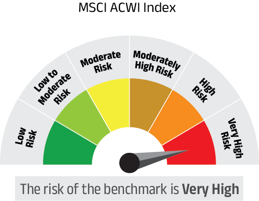 Risk meter image 2